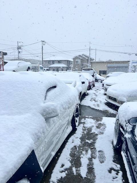 本日、積雪のため営業を中止します | ブログ | 神奈川の中古車販売なら
